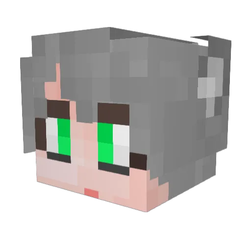 TheBEST_0 Minecraft avatar head, 3D render
