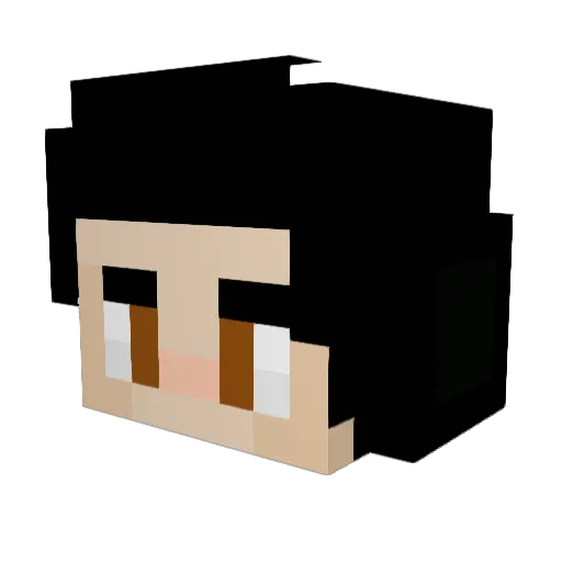 TheBOTStan Minecraft avatar head, 3D render
