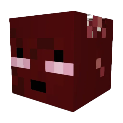 TheBabyAlligator Minecraft avatar head, 3D render