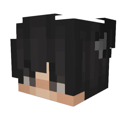 TheBabyAlphaWolf Minecraft avatar head, 3D render