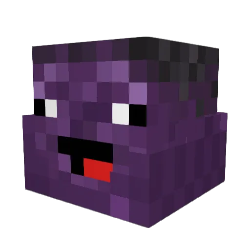 TheBaccaKing132 Minecraft avatar head, 3D render