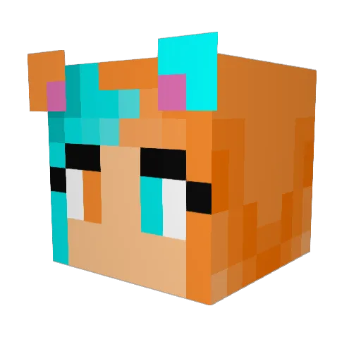 TheBaconOwl Minecraft avatar head, 3D render