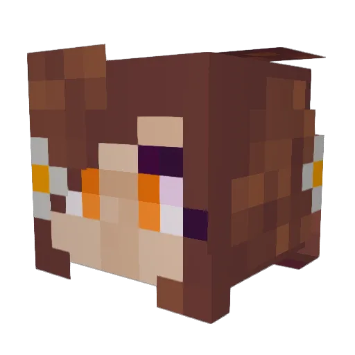 TheBaconator_IV Minecraft avatar head, 3D render