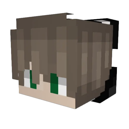 TheBadBunny69 Minecraft avatar head, 3D render