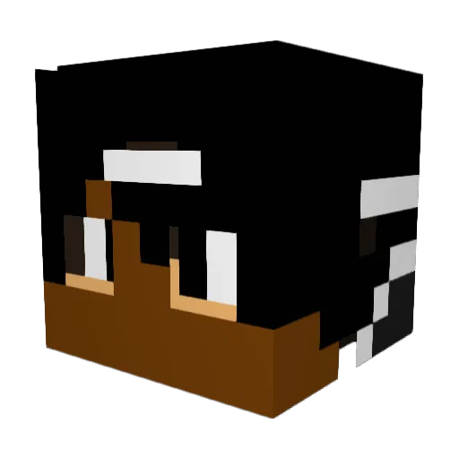 TheBadGamer66 Minecraft avatar head, 3D render