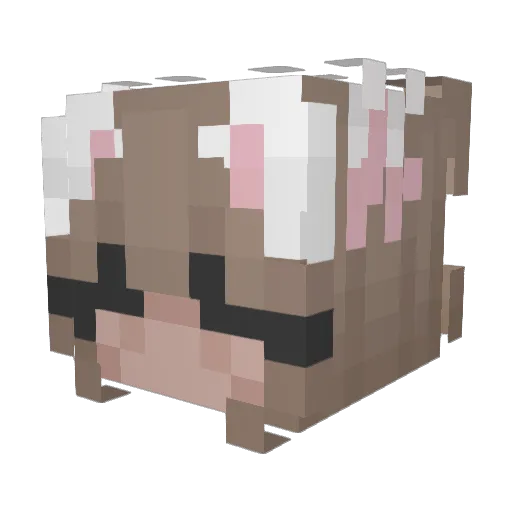 TheBadRamen Minecraft avatar head, 3D render