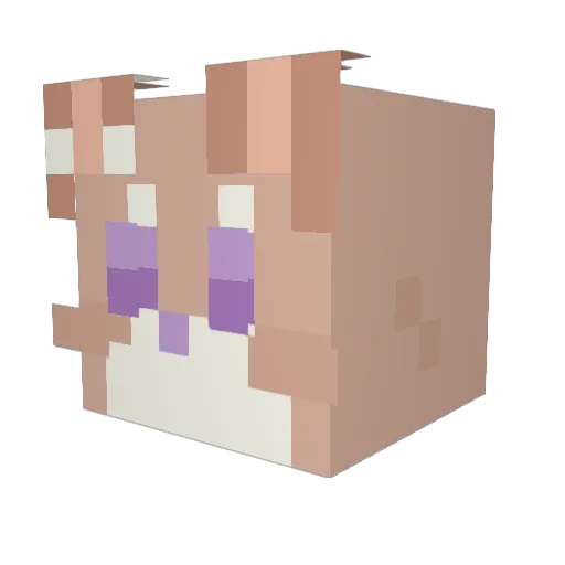 TheBadcattitude Minecraft avatar head, 3D render