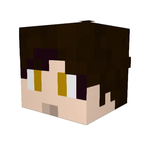 TheBadger98 Minecraft avatar head, 3D render