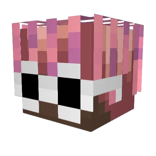 TheBaianor Minecraft avatar head, 3D render