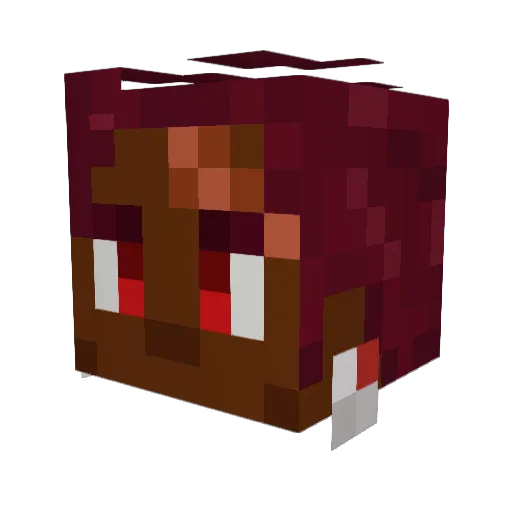 TheBamm117 Minecraft avatar head, 3D render