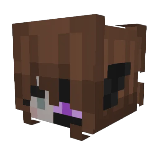 TheBansh33 Minecraft avatar head, 3D render