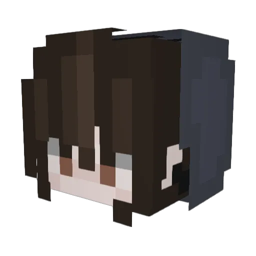 TheBarkingLynx Minecraft avatar head, 3D render