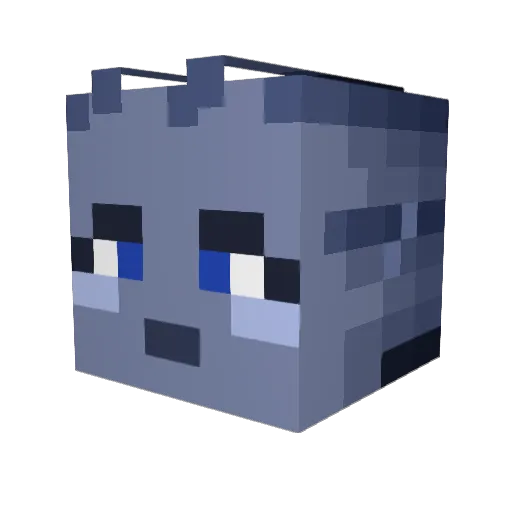 TheBatManiac Minecraft avatar head, 3D render