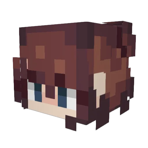 TheBearsChair Minecraft avatar head, 3D render