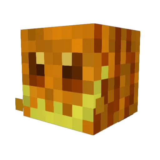 TheBeast121 Minecraft avatar head, 3D render