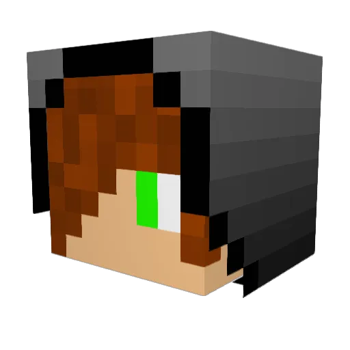 TheBeast2155 Minecraft avatar head, 3D render