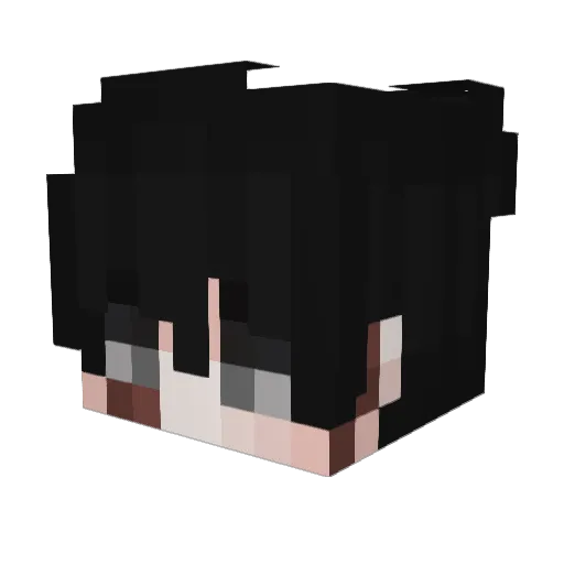 TheBeatBoy_ Minecraft avatar head, 3D render