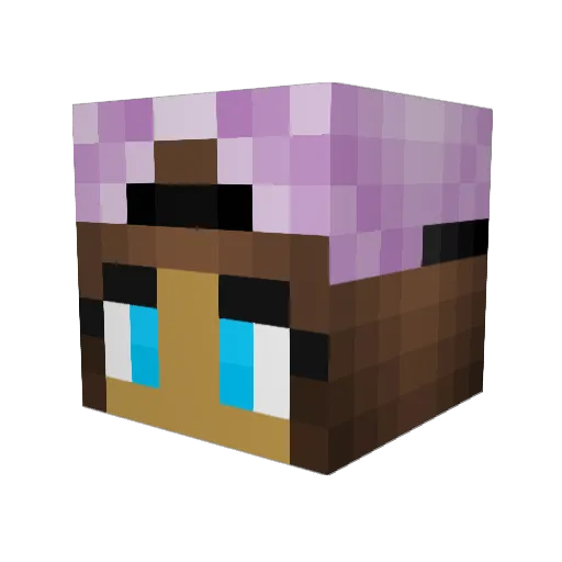 TheBeautifulRose Minecraft avatar head, 3D render