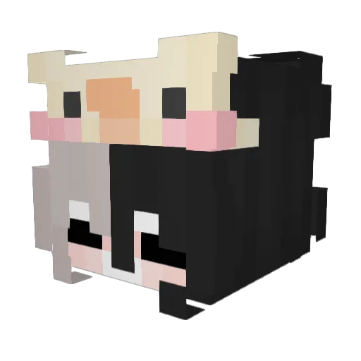 TheBeaver22222 Minecraft avatar head, 3D render