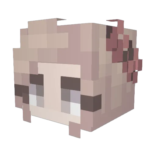 TheBebo Minecraft avatar head, 3D render