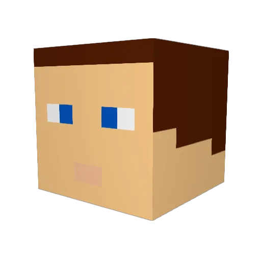 TheBedrockBlock Minecraft avatar head, 3D render