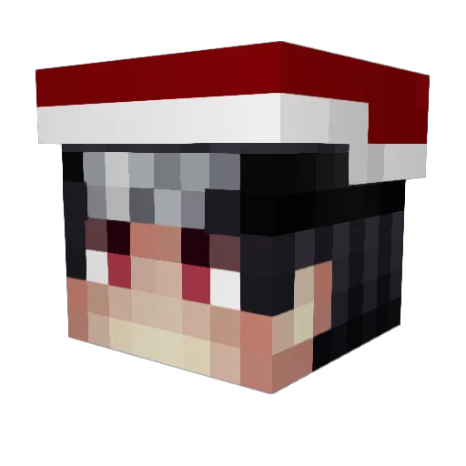 TheBeeMeister Minecraft avatar head, 3D render