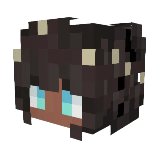TheBeee Minecraft avatar head, 3D render