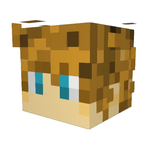 TheBeefSquid Minecraft avatar head, 3D render