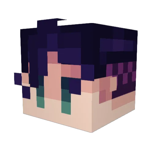 TheBeeirdo Minecraft avatar head, 3D render
