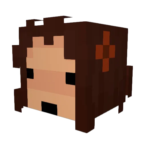 TheBeesKnees259 Minecraft avatar head, 3D render