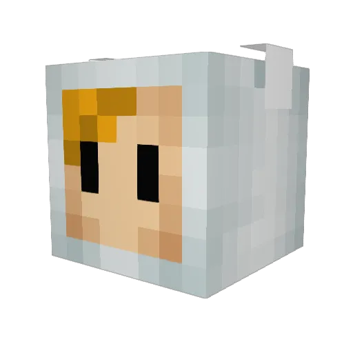 TheBellagio Minecraft avatar head, 3D render