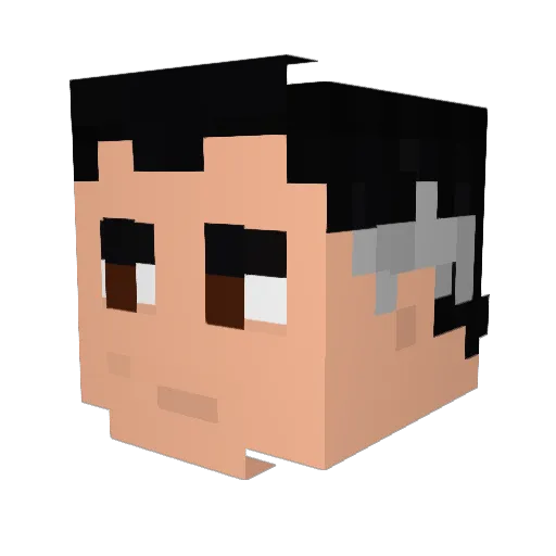 TheBerserker42 Minecraft avatar head, 3D render