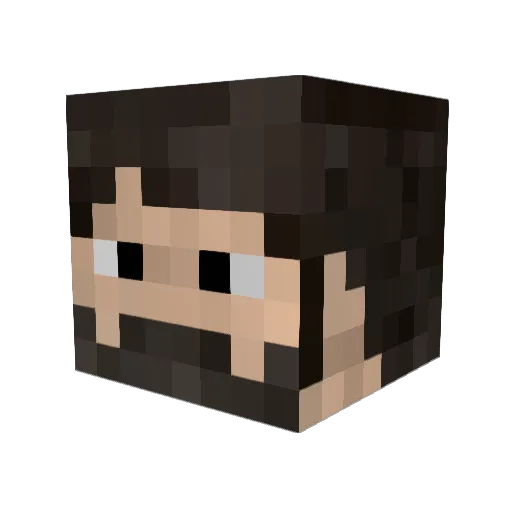 TheBest207 Minecraft avatar head, 3D render