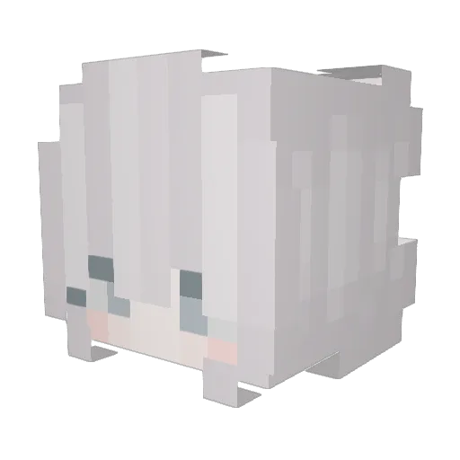 TheBestVapuUser Minecraft avatar head, 3D render