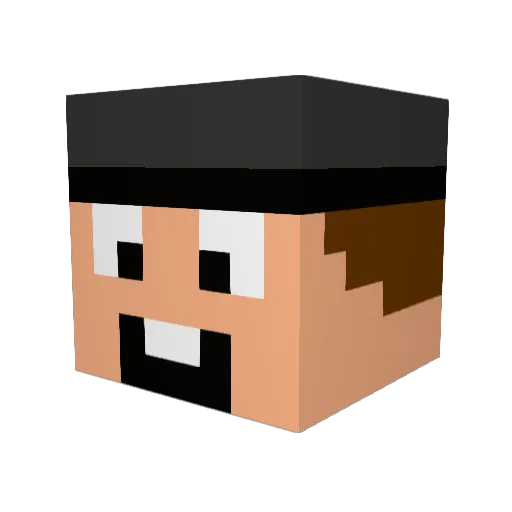 TheBestkoppany Minecraft avatar head, 3D render