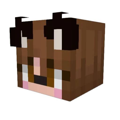 TheBidanker Minecraft avatar head, 3D render