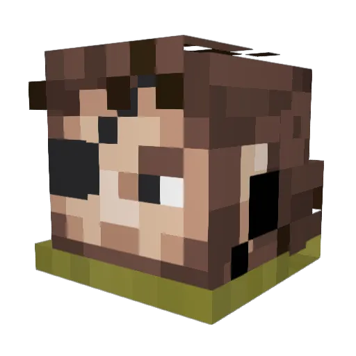 TheBigBoss25 Minecraft avatar head, 3D render