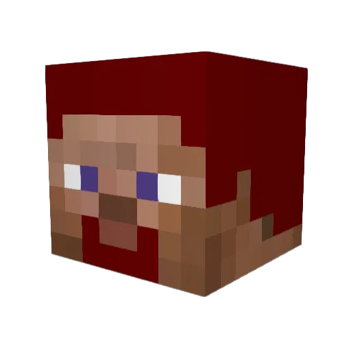 TheBigDog00 Minecraft avatar head, 3D render