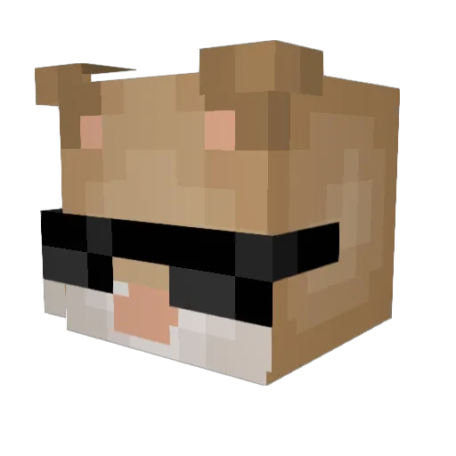 TheBigHamster Minecraft avatar head, 3D render