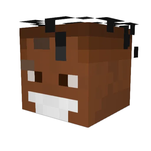 TheBigJai Minecraft avatar head, 3D render