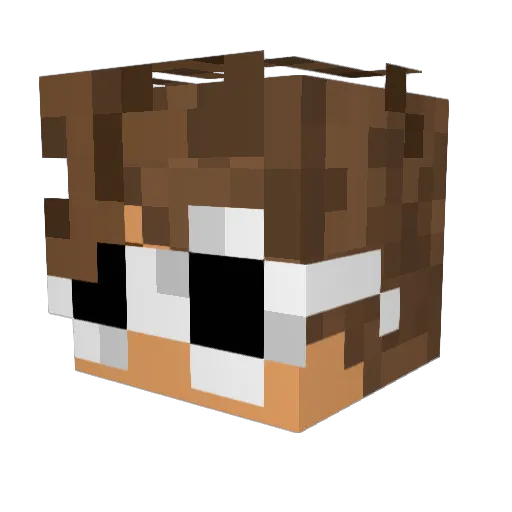 TheBigPollo Minecraft avatar head, 3D render
