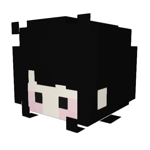 TheBirdsTalk Minecraft avatar head, 3D render