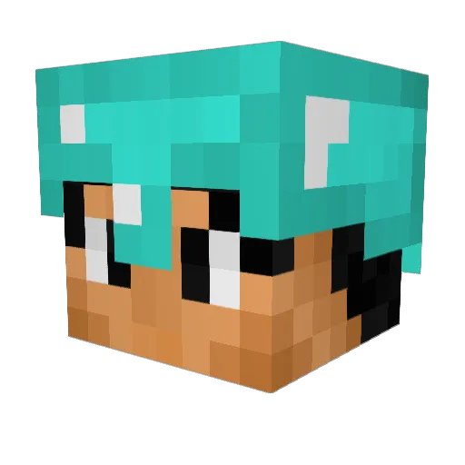 TheBlackFire0610 Minecraft avatar head, 3D render
