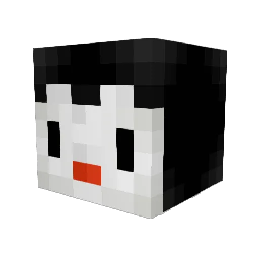 TheBlackReaper00 Minecraft avatar head, 3D render