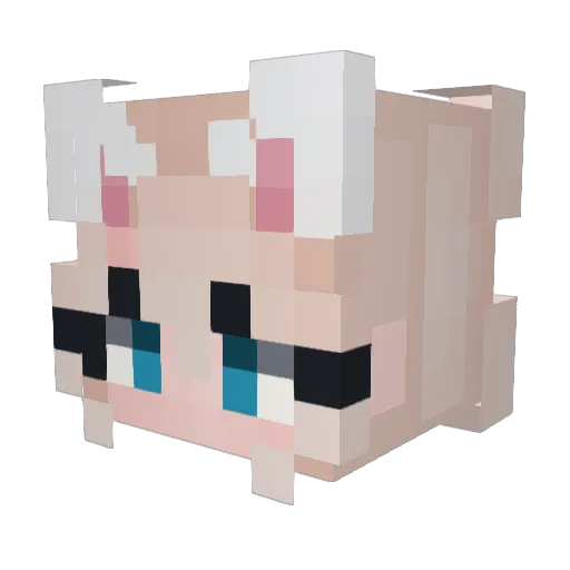 TheBlakesama Minecraft avatar head, 3D render