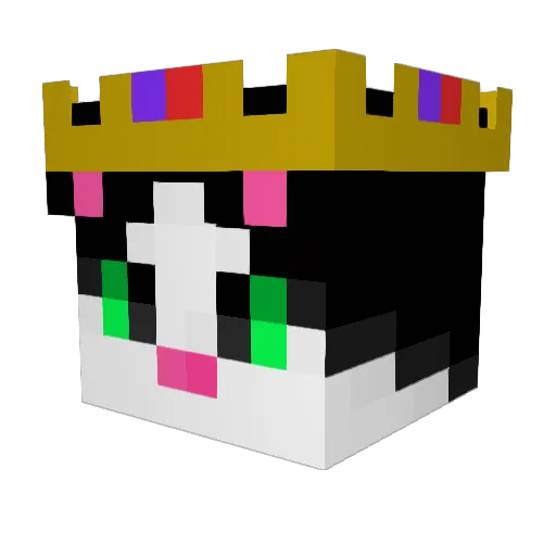 TheBloodKing274 Minecraft avatar head, 3D render