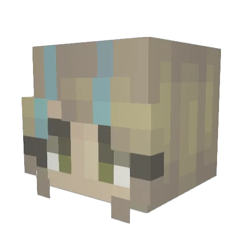 TheBlueBubble Minecraft avatar head, 3D render