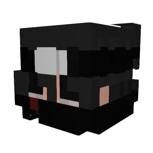 TheBlueSnowman Minecraft avatar head, 3D render
