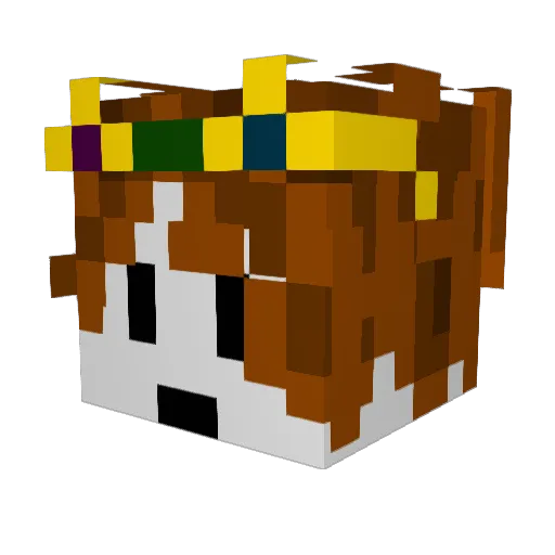 TheBoiLord Minecraft avatar head, 3D render
