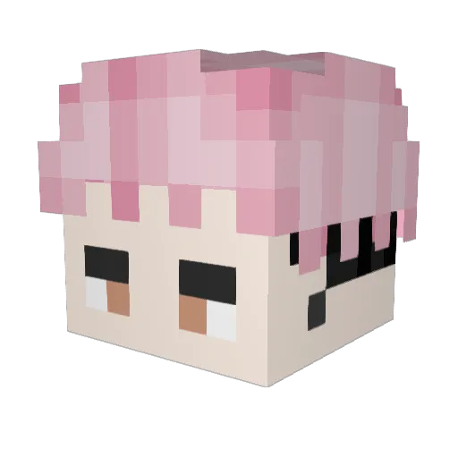 TheBonudiZz Minecraft avatar head, 3D render